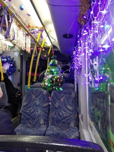 Новогодняя елочка в автобусе