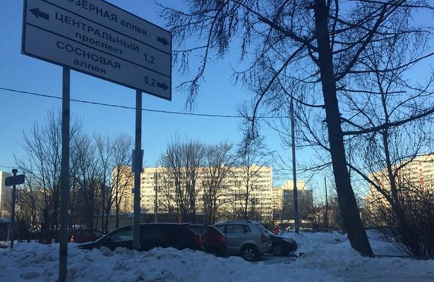 На Сосновой аллее изменят скоростной режим