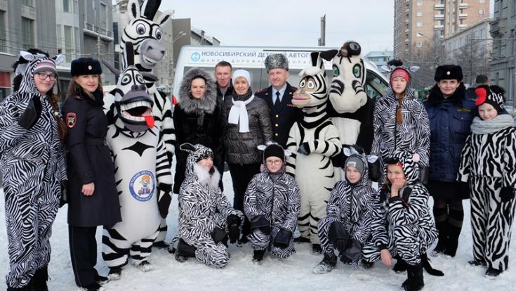 Зебры в городе!