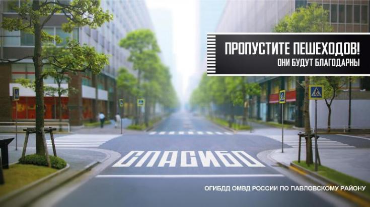 В  Павловском районе инспекторы ГИБДД организовали акцию «Пропустите пешеходов, они будут благодарны!»