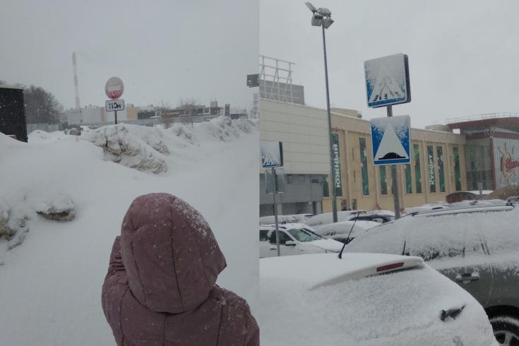 Заснеженные дорожные знаки