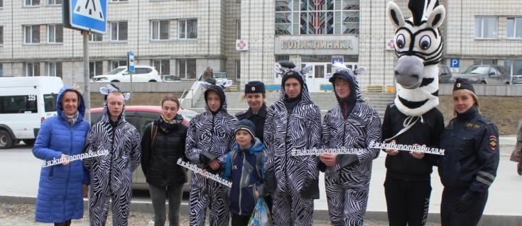 В Новосибирске автоинспекторы провели акцию «Зебры в городе!»