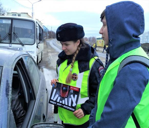 Госавтоинспекция ЗАТО Александровск совместно со школьным отрядом ЮИД провели профилактическое мероприятие «Пешеходный переход»