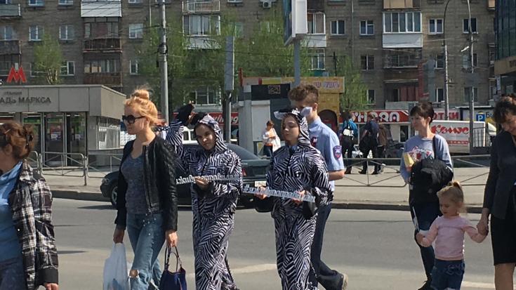 Жителям в городе Новосибирске напомнили о правилах для пешеходов