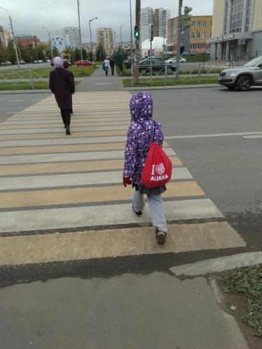 Перехожу дорогу только на зеленый сигнал светофора