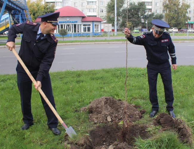 Госавтоинспекторы Абакана поддержали Всероссийскую акцию «Лес Победы»