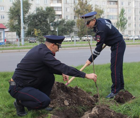 Госавтоинспекторы Абакана поддержали Всероссийскую акцию «Лес Победы»