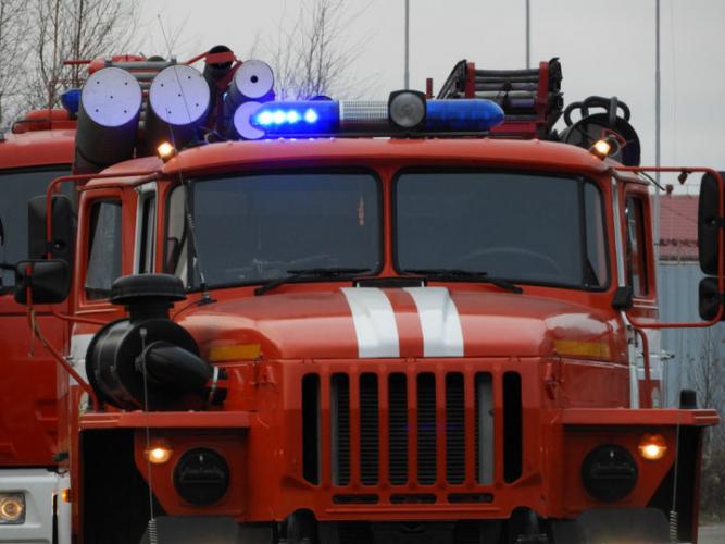 Права и обязанности пешеходов при приближении транспортного средства с включенными маячками