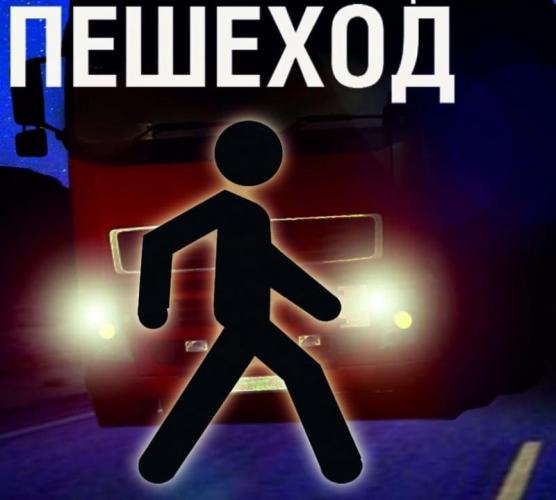 На территории Самарской области проводится целенаправленное профилактическое мероприятие «Пешеход»