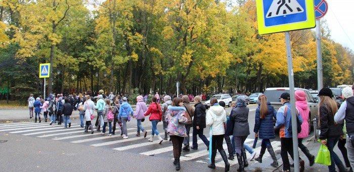 Пешеходные переходы возле школ и детских садов завершат обустраивать в 2020 году