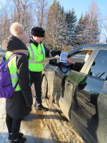 В Тоншаевском районе госавтоинспекторы провели акцию «Береги пешехода»