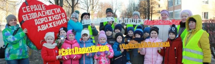 Сотрудники подмосковной Госавтоинспекции совместно с необычным патрулем привлекли внимание дошкольников к дорожной безопасности