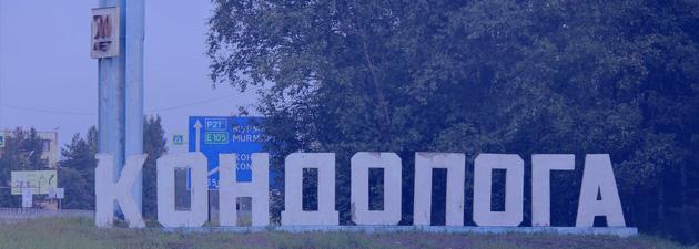 Госавтоинспекция Кондопожского района просит откликнуться очевидцев ДТП