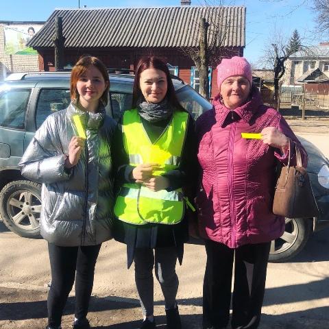 В Смоленской области автоинспекторы провели для пешеходов профилактическое мероприятие "Наших видно!"