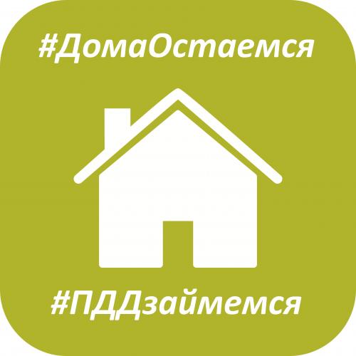Госавтоинспекция Удмуртии приглашает к челленджу #ДомаОстаемся #ПДДзаймемся