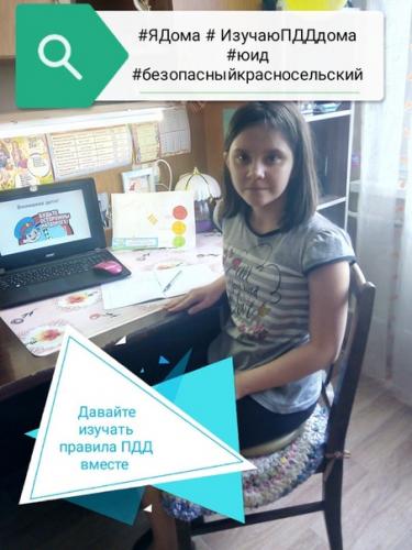 Юные инспекторы движения Санкт-Петербурга и Ленинградской области проводят для взрослых и детей он-лайн занятия