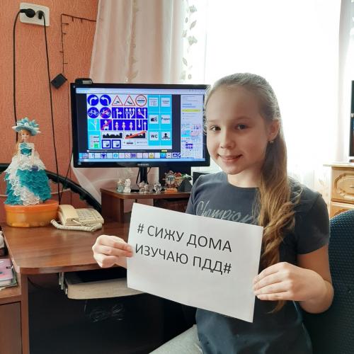 Липецкие школьники массово присоединяются к челленджу #Cидим ДомаИзучаемПДД