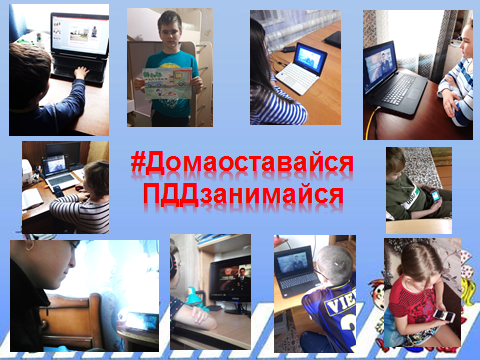 #ДомаоставайсяПДДзанимайся