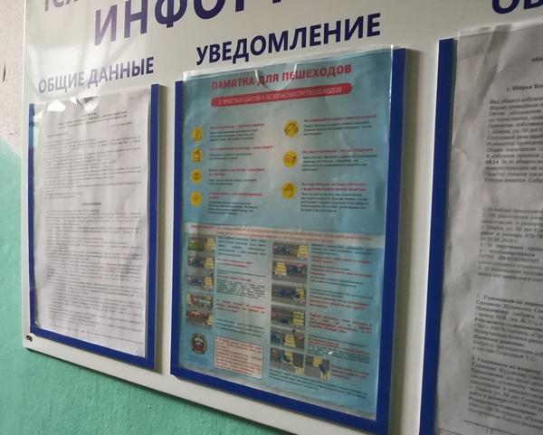 Правила дорожного движения с порога дома