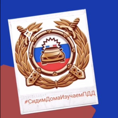 #СидимДомаИзучаемПДД. В Ростовской области продолжается дистанционная акция для детей и их родителей.