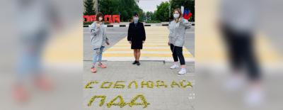 Белгородские волонтеры составили необычное напоминание о дорожной безопасности