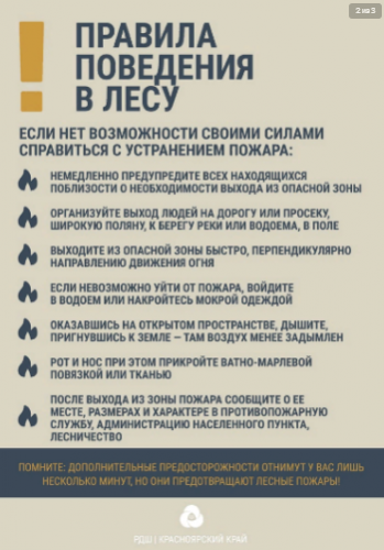Правила поведения в лесу