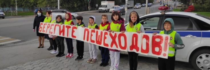 В Новосибирской области проходят профилактические мероприятия «Пешеходный переход»