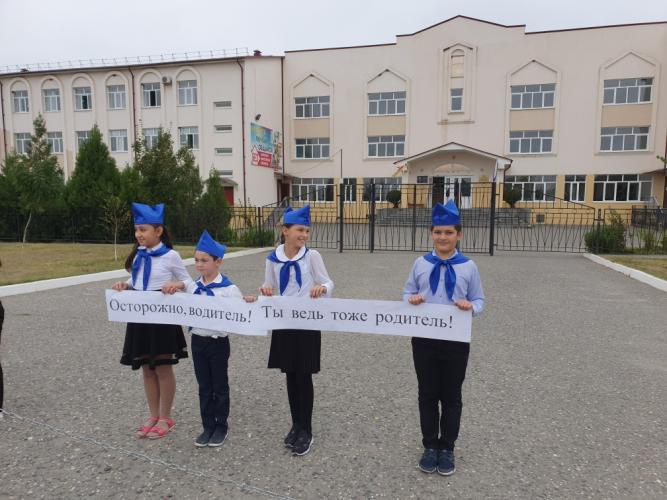 В Моздокском районе провели профилактическую акцию «Мы за жизнь по правилам!»