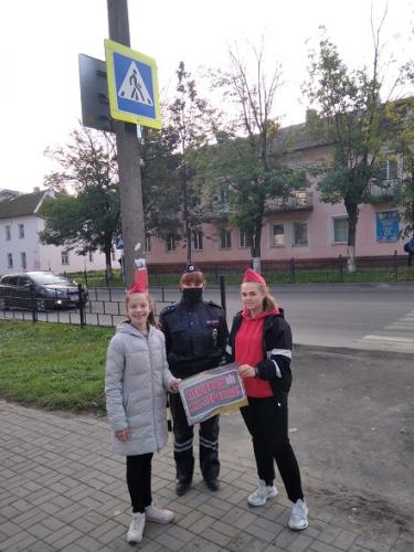 Сотрудники Вяземского района провели акцию "Пешеход на переход"