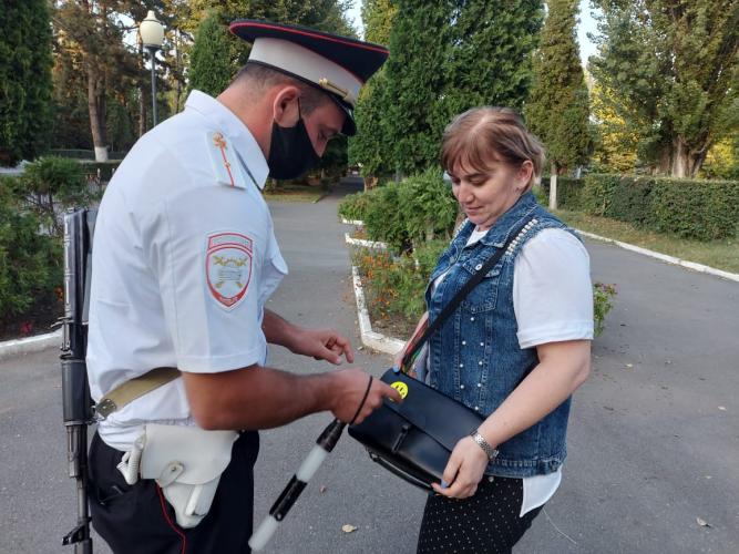 В Пригородном районе продолжается профилактическое мероприятие в рамках ОПМ «Пешеход»