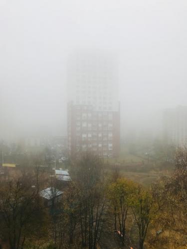 Утро 4 ноября туманное