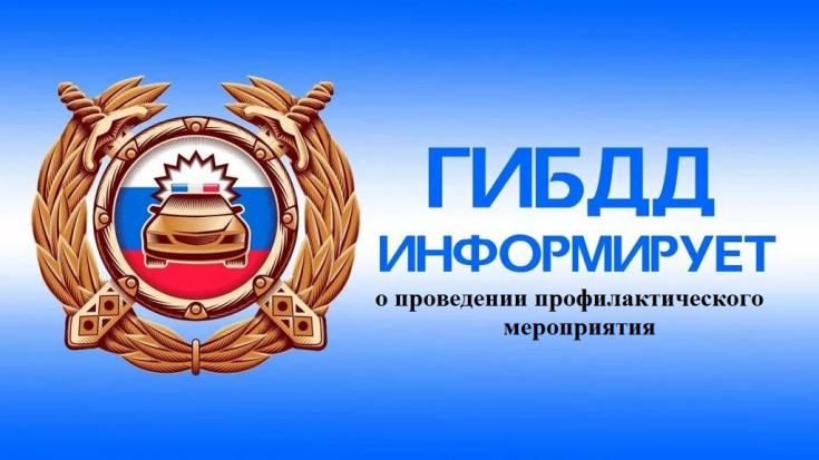 Госавтоинспекция информирует о проведении профилактического мероприятия «Водитель-пешеход»
