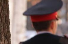Перевозские Госавтоинспекторы присоединились к олимпиаде «Безопасные дороги»