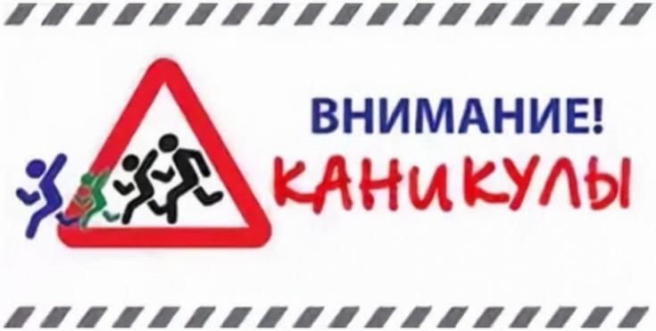 Профилактическое мероприятие «Зимние каникулы» пройдёт на дорогах Волоколамского округа с 21 декабря по 10 января