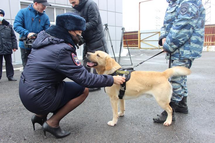 В Новокузнецке полицейские оборудовали форменное обмундирование служебных собак световозвращателями