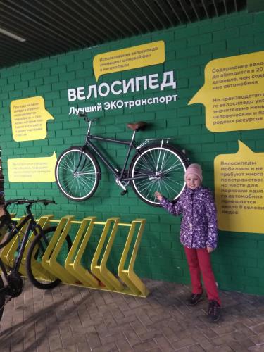 Велосипед лучший экотранспорт