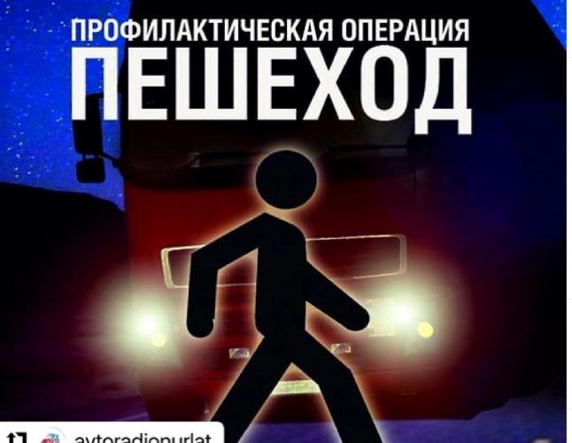 профилактическая акция "Пешеход"