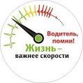 Сбавь скорость - дети!
