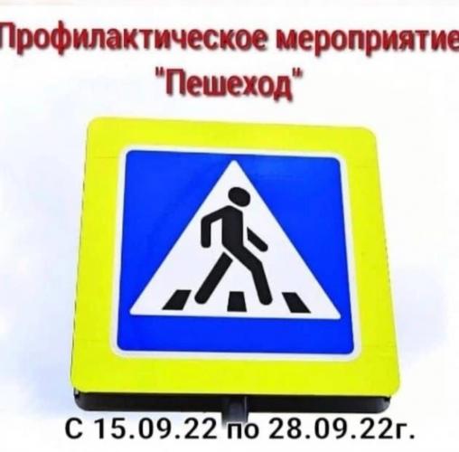 Профилактическое мероприятие «Пешеход».