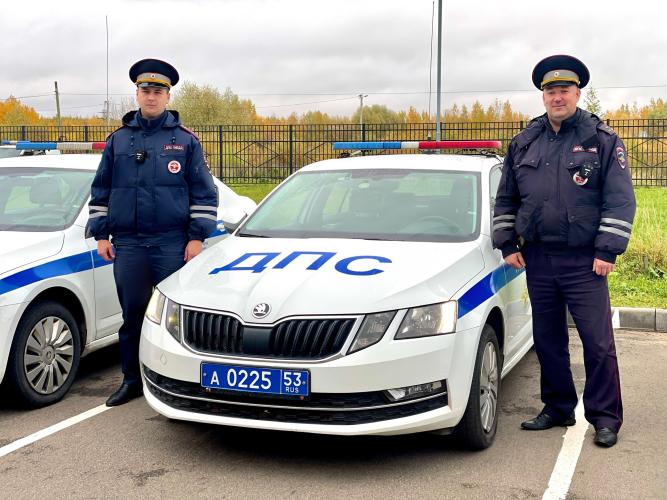 Сотрудники новгородской Госавтоинспекции оперативно доставили пострадавшее в ДТП животное в ветеринарную клинику