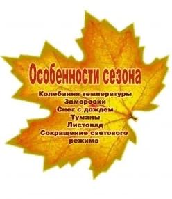 Особенности ПДД в осенний период
