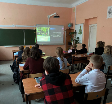СИМ - что же это такое?