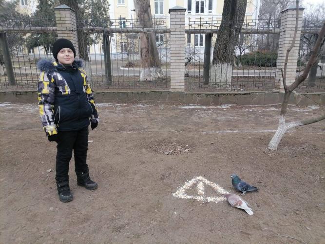 Вспомни ПДД и покорми птиц!