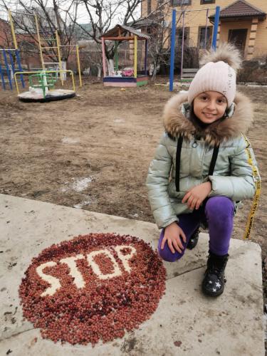 В городе Каменск-Шахтинский Ростовской области прошла акция «Вспомни ПДД и покорми птиц!»