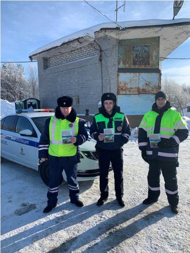 Дорожные полицейские Кольского района провели профилактическую акцию «Без риска на дороге»